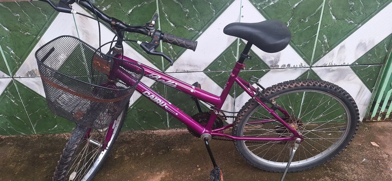 Troco Bicicleta Bella caiu com marcha