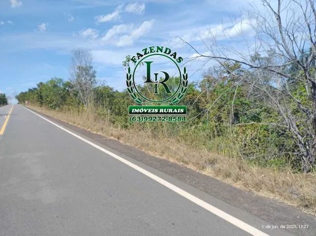 Fazenda 32 Alqueires ou seja 154 Hectares Dupla Aptidão - Foto 2