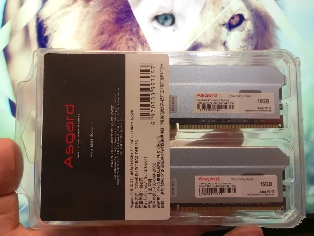 [Novo] Memória Ddr4 Asgard T3 2x16 GB (32GB) 3200 mhz
