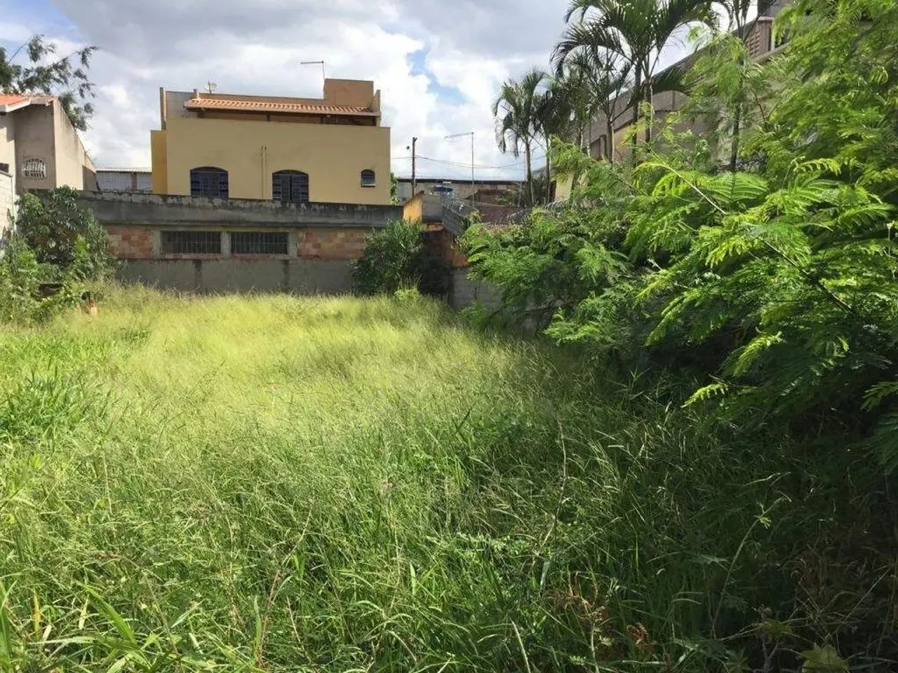 Área plana de 450M² - Foto 5