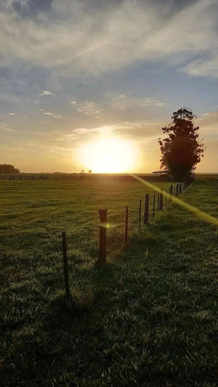 Vista incrível e muito espaço Terreno em São Roque!