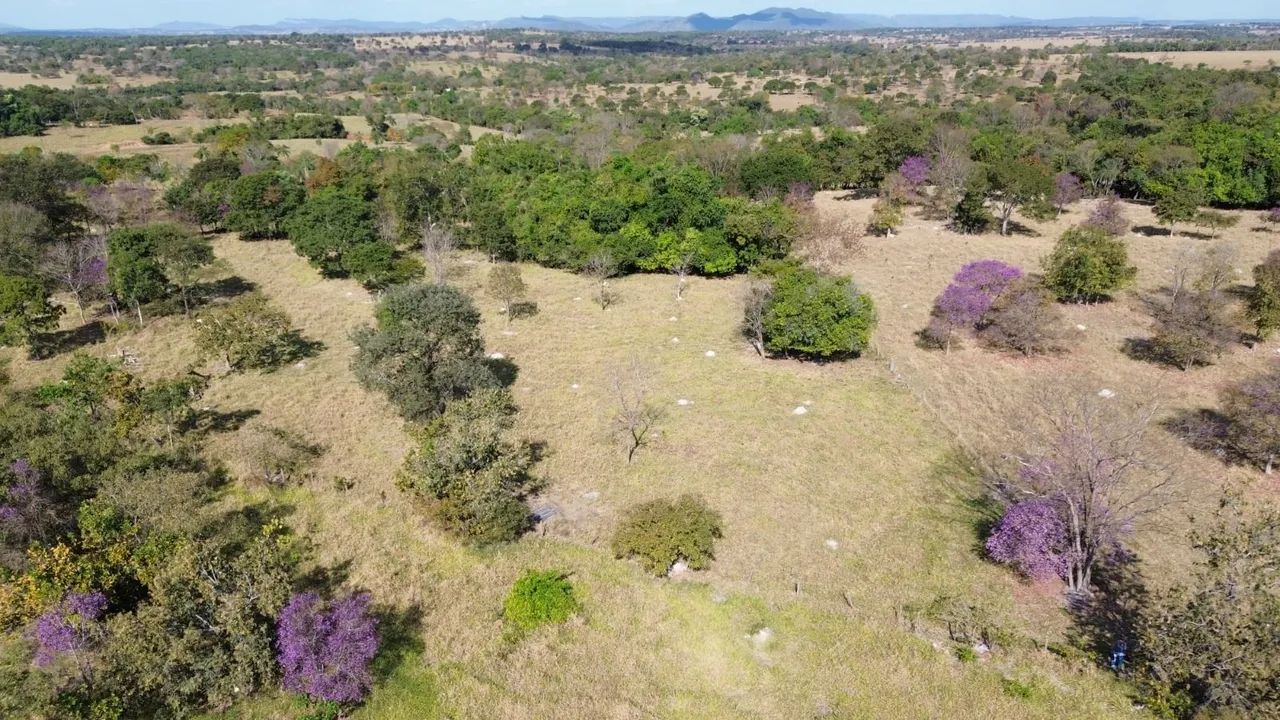 Chácara a Venda em Fazenda Nova go - Foto 8