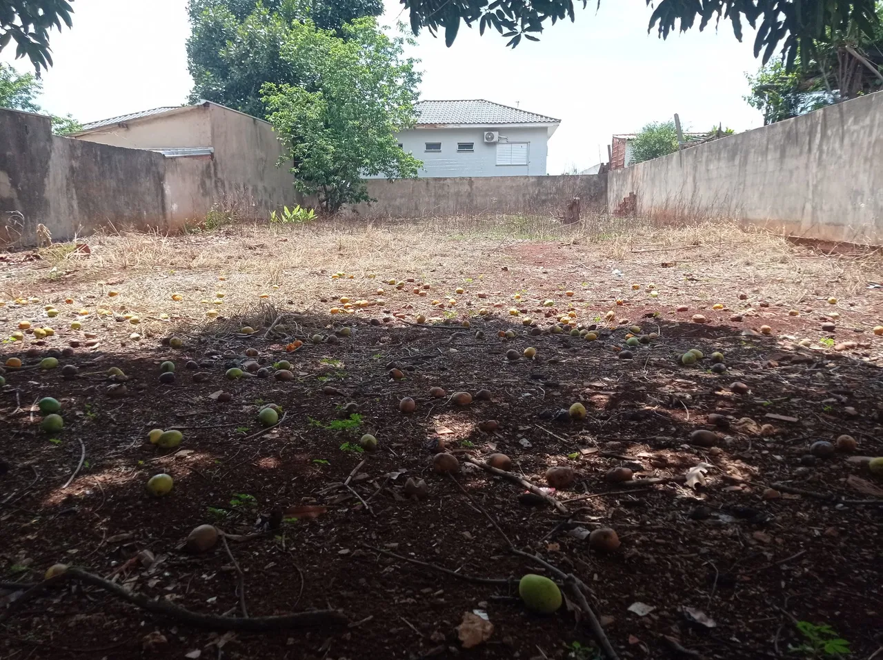 Terreno 432M -12x36 - Vila Marli (região da Vila Nasser)