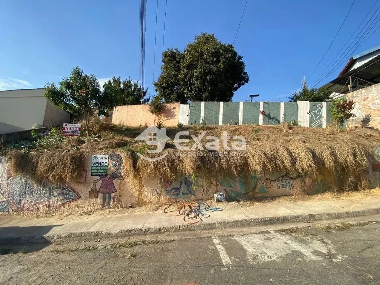 Terreno a venda Vila Haro