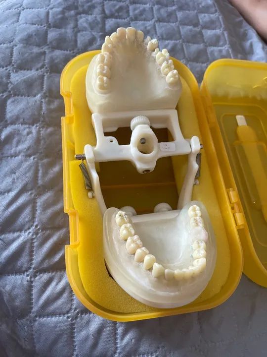 Manequim de perio e dentistica  - Foto 2