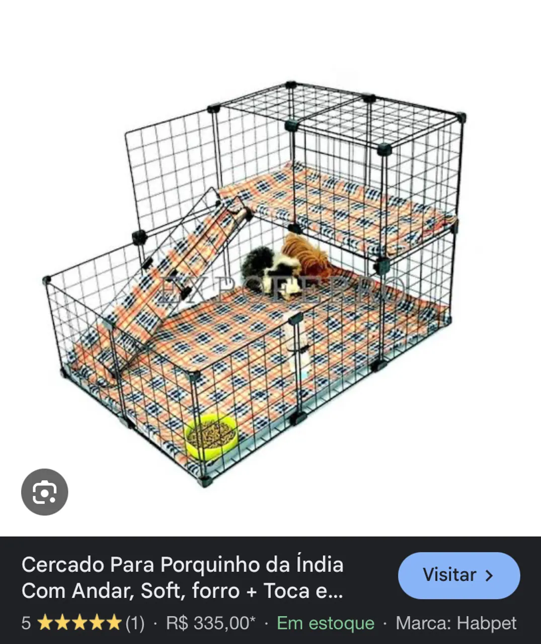 cercado porquinho da índia/coelho