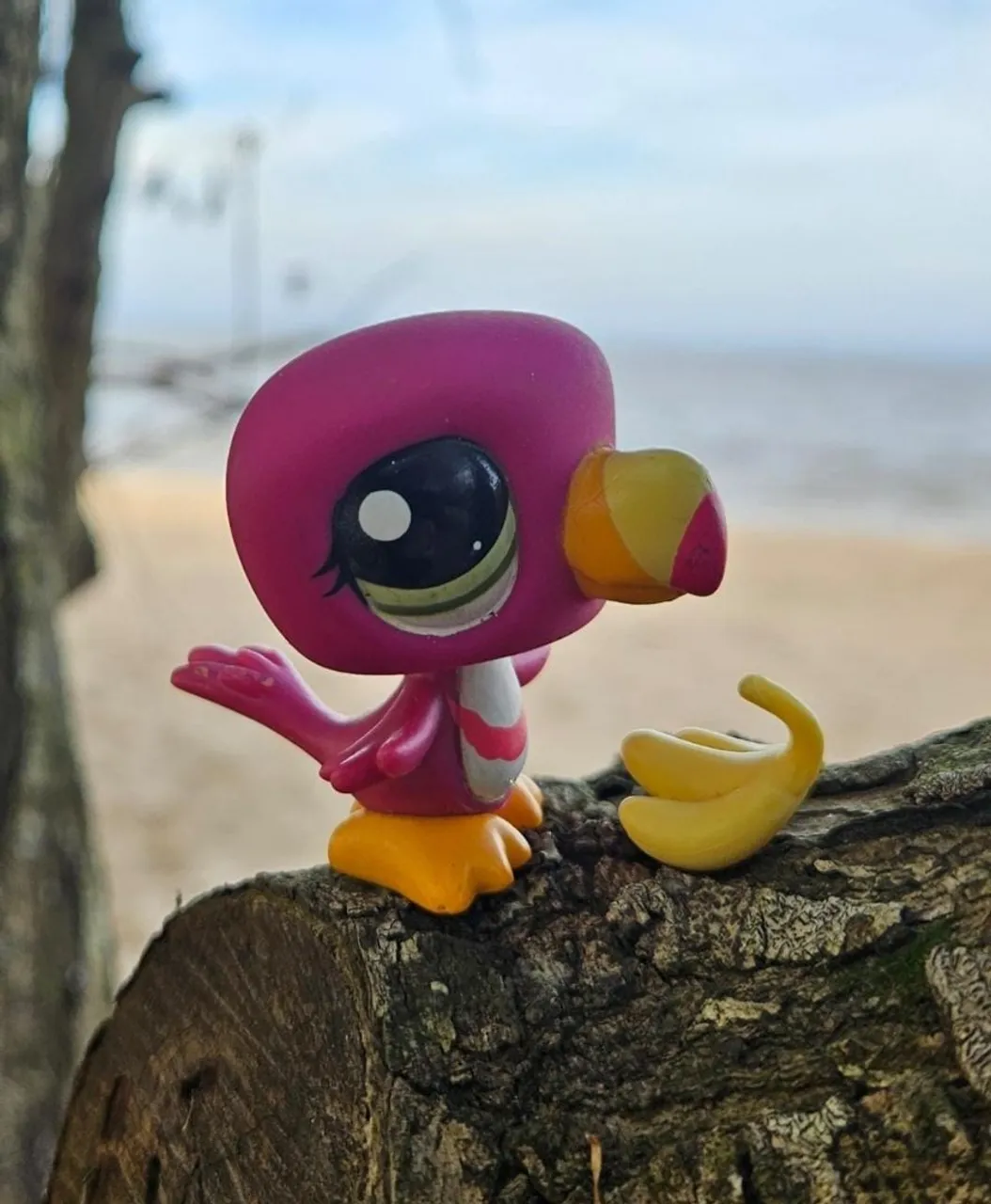 Littlest Pet Shop Tucano