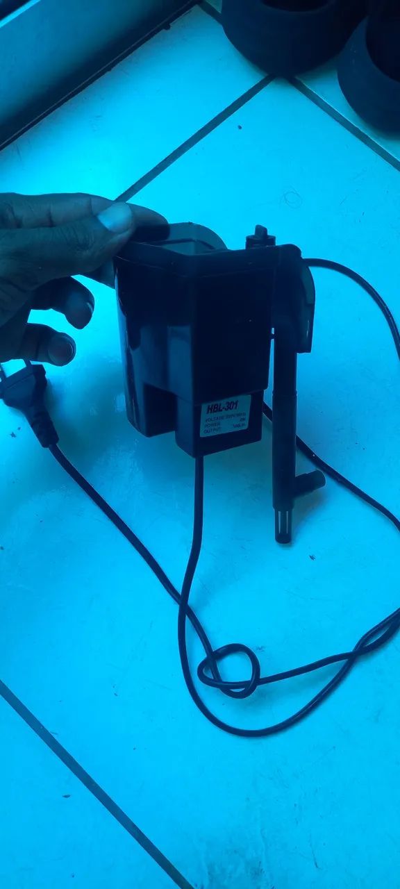 Frilto aquario 