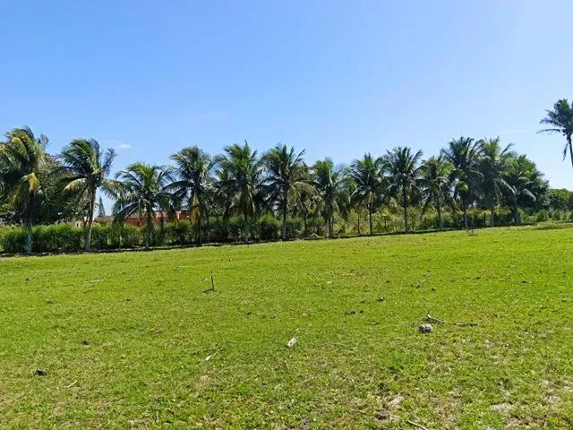 ÁREA 16.705,73 M² COM GALPÃO 300 M² - Foto 5