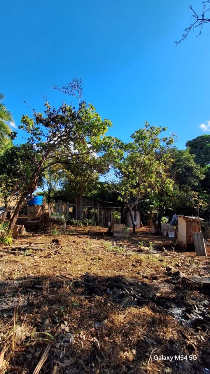 Ch ácara à Venda - Excelente Oportunidade com 4.000m² negociavel * - Foto 4