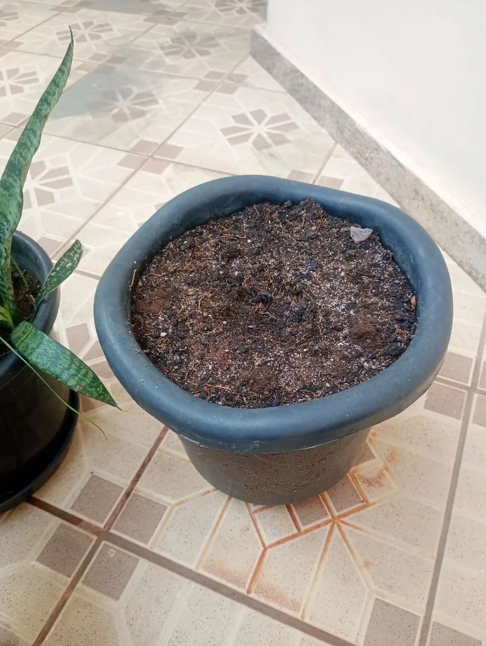 Vaso com terra pra planta