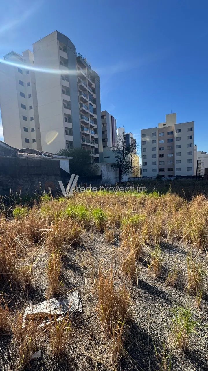 terreno - Bonfim - Campinas - Foto 4