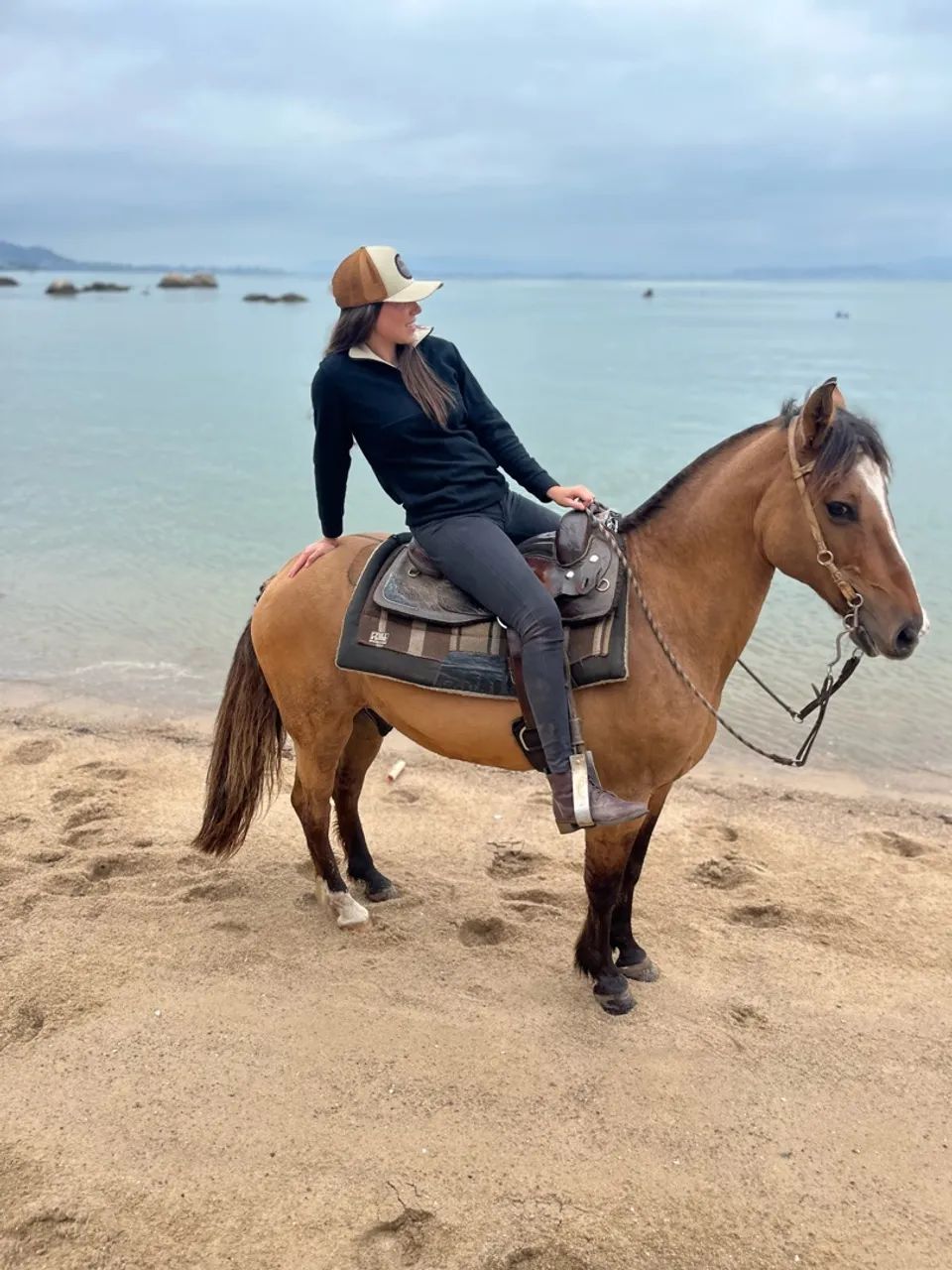 CAVALO CRIOULO BOM DE LAÇO  - Foto 2
