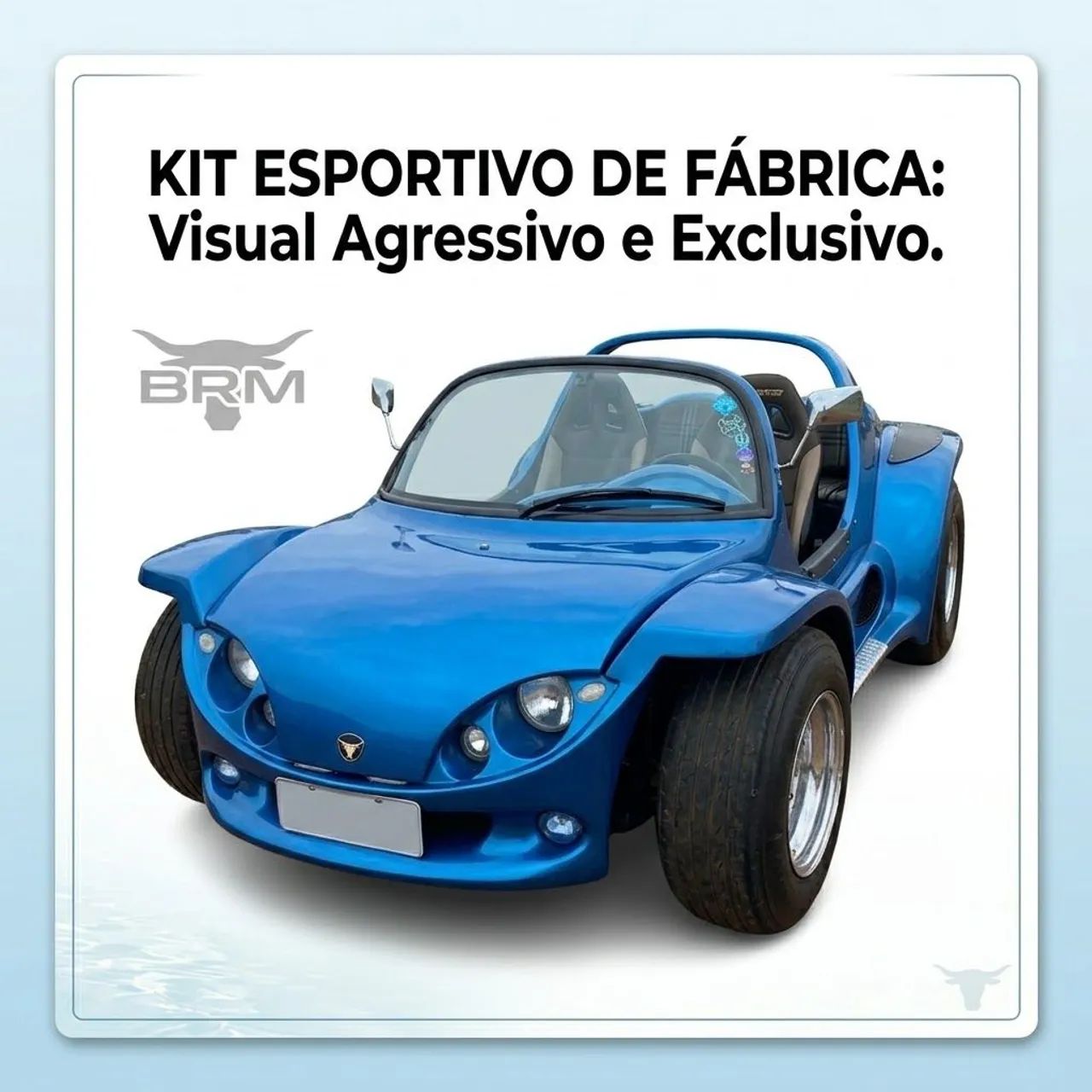 BRM Buggy W. Turing/luxo/m-11 Absolut 1.6 8V 2006
