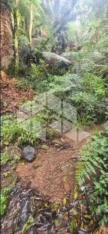Cabanas em Urubici - SC - Foto 5