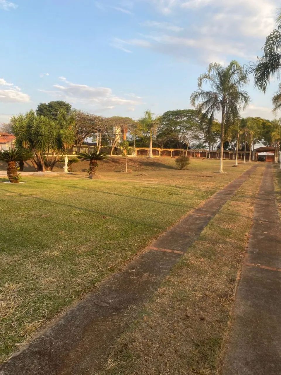 Jardinagem em geral  - Foto 4