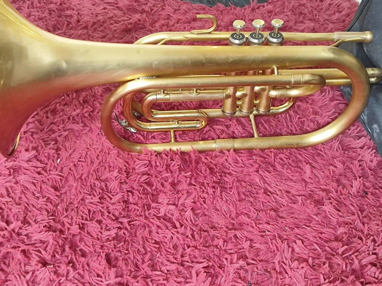 Trombonito BM - Foto 2