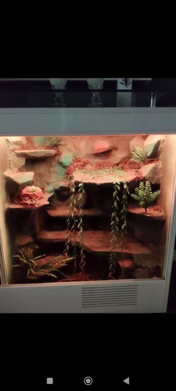 Terrário para répteis  - Foto 3