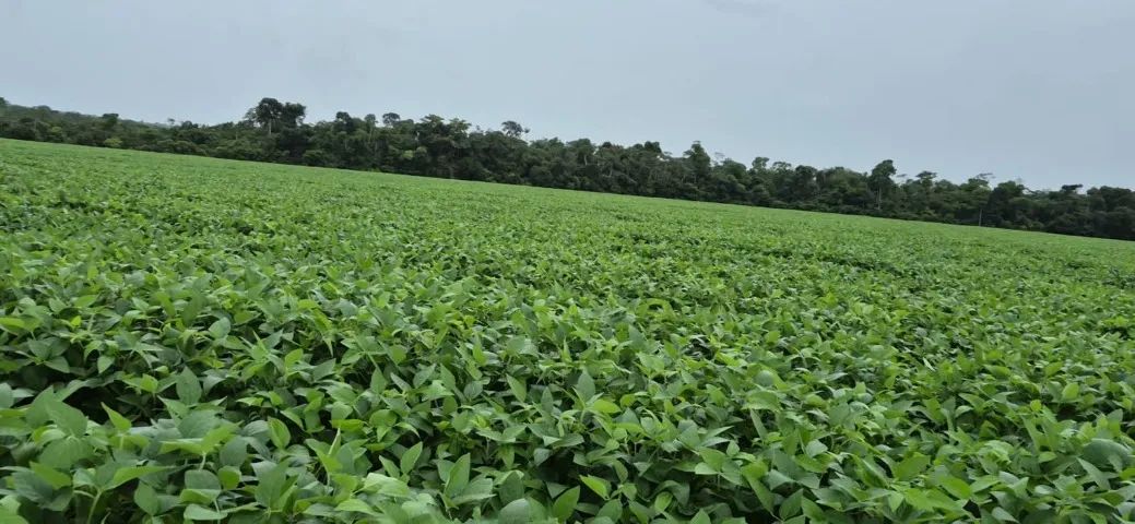 Fazenda 440 hec em Claudia-MT - Foto 2