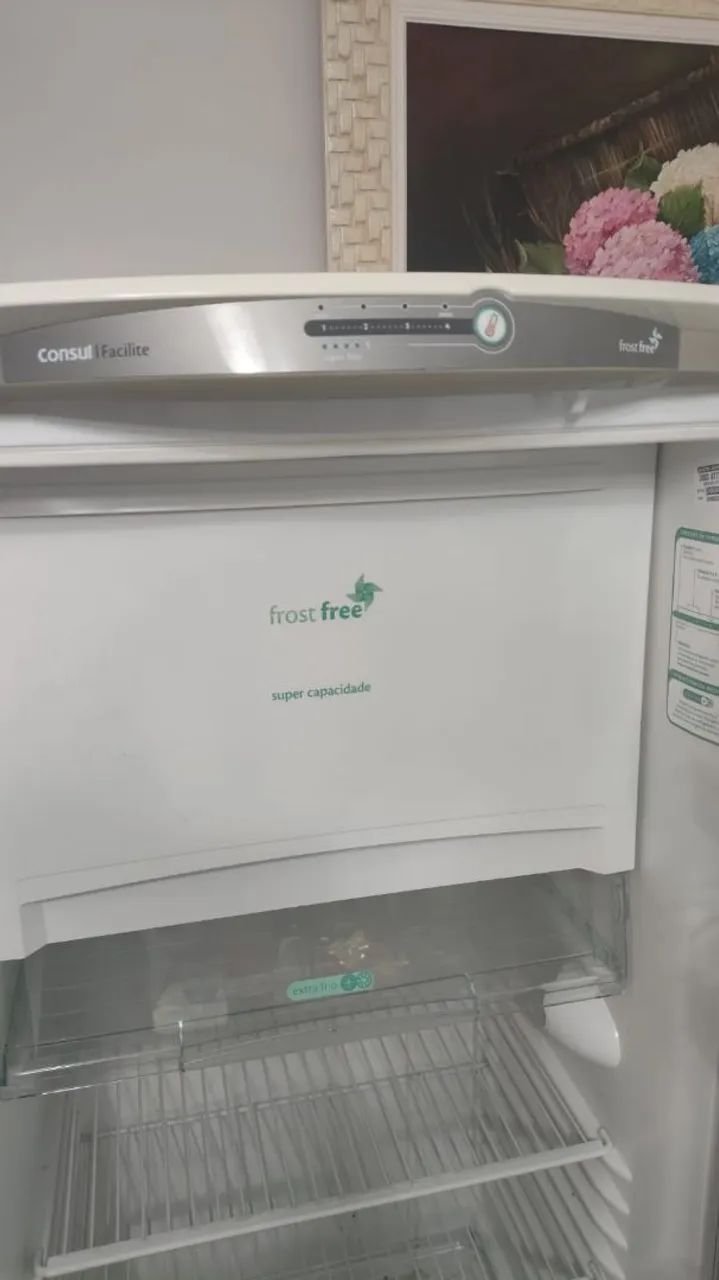 Geladeira Consul 300L - Foto 5