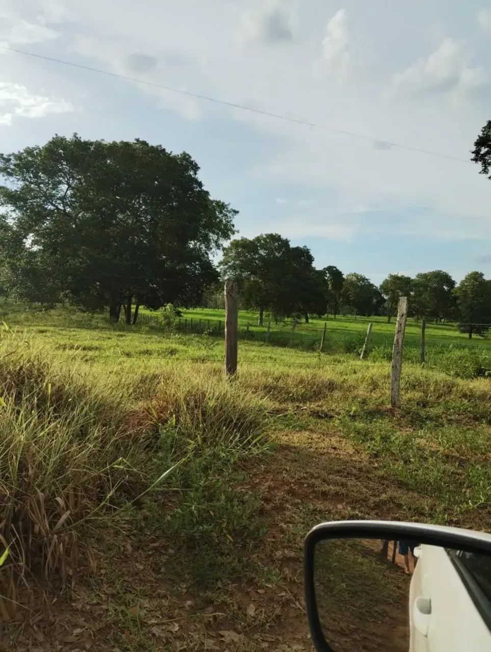 53,5 HECTARES TODA FORMADA 700 METROS DE ANASTACIO - Foto 3