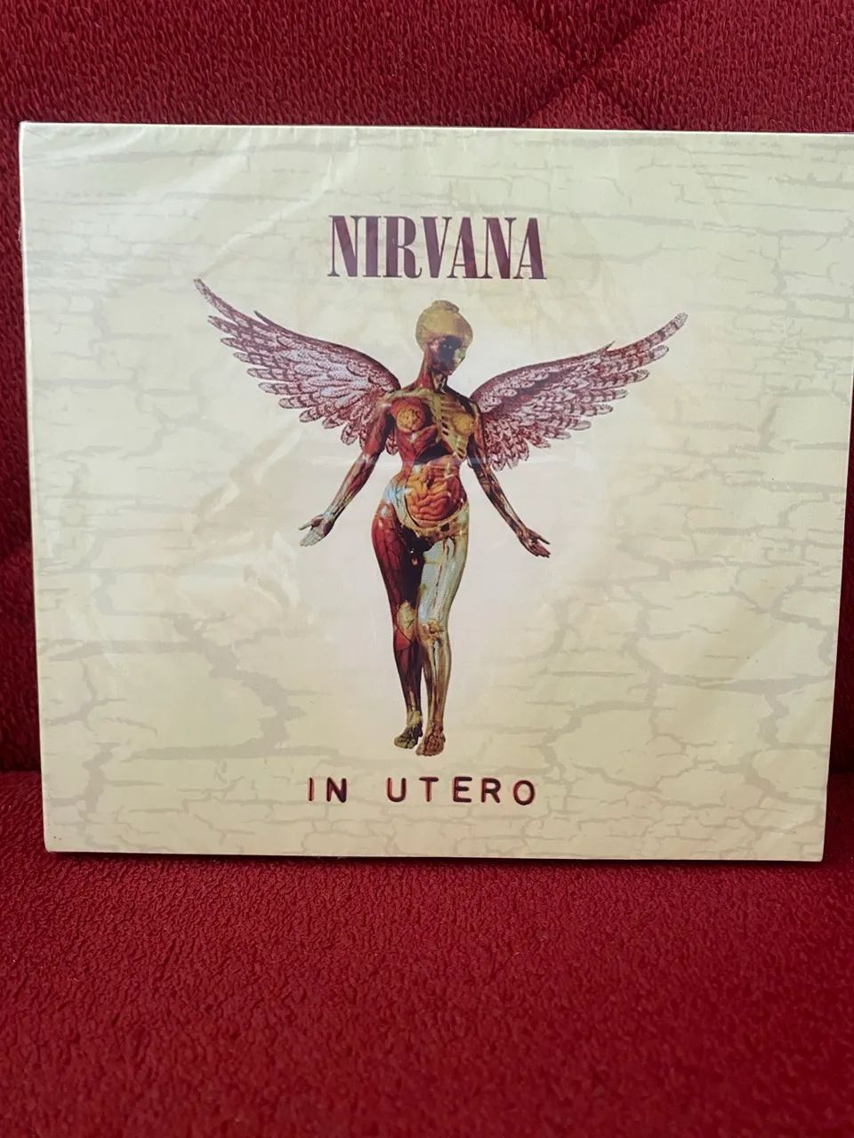 Nirvana In Utero 20th Anniversary Deluxe Edition 2CD Lacrado - CDs