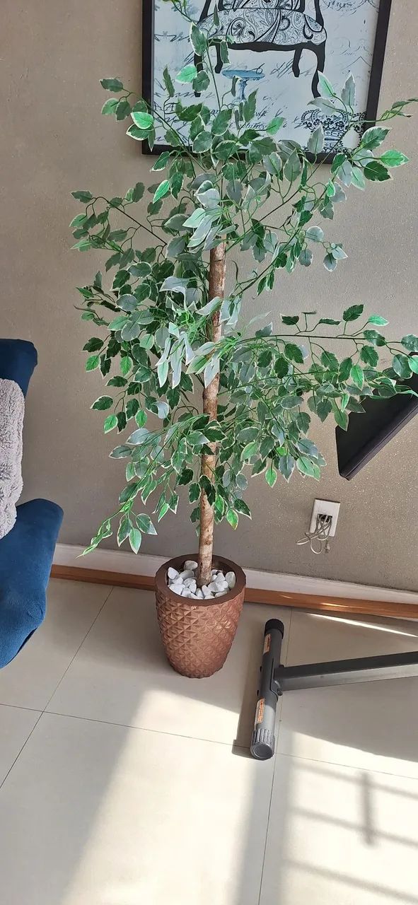 Planta decorativa - Foto 5