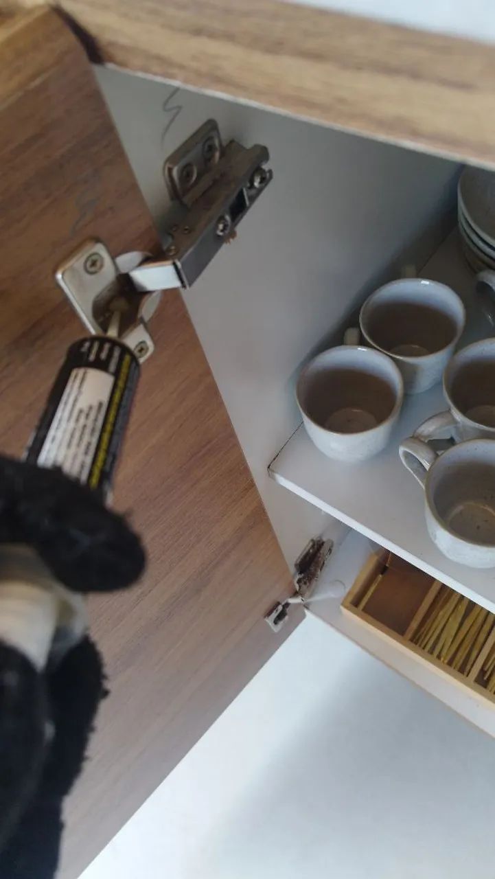 DETETIZAÇÃO  - Foto 3