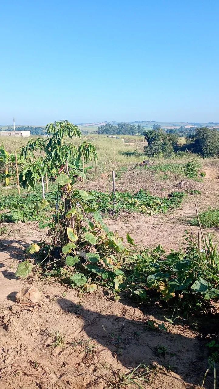 Vende-se Chácara - Foto 4