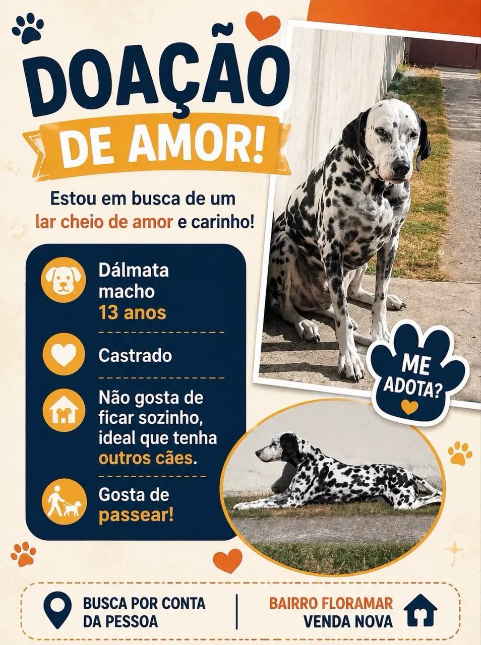 Doa-se Dalmata - Foto 3