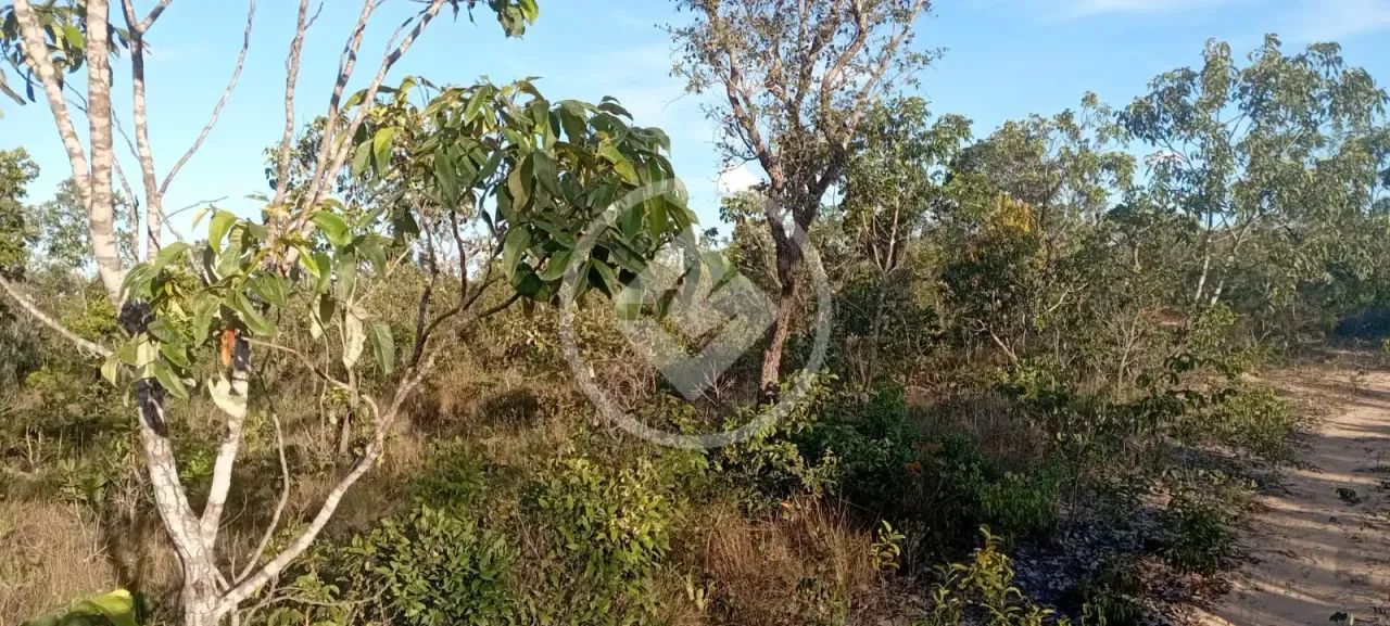 Rio Sono - Fazenda de 488 Alqueires no Povoado de Mansinho codigo: 308940 - Foto 3