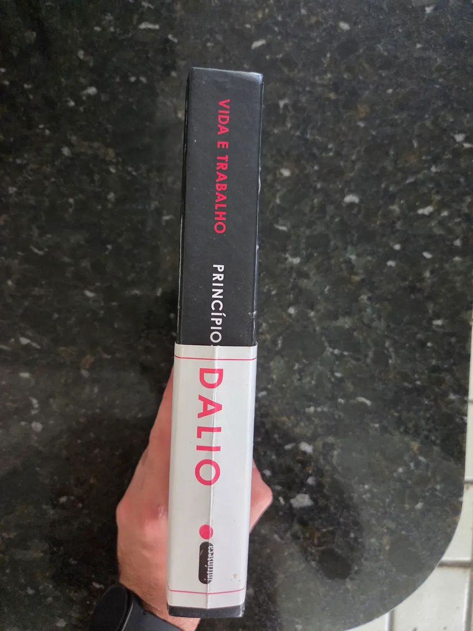 Princípios de Ray Dalio - Foto 4