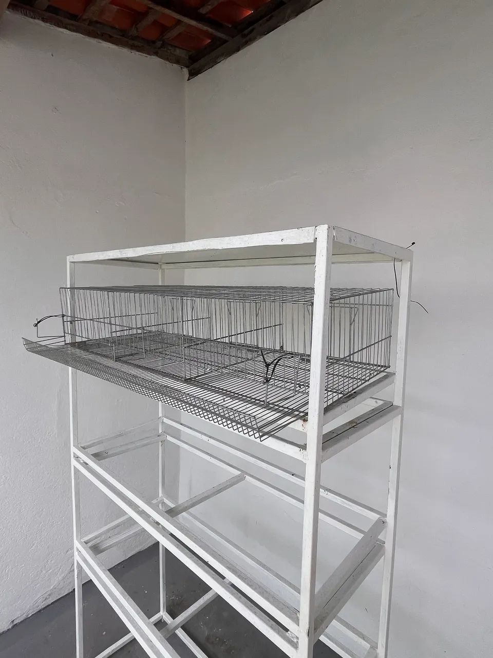Gaiola para codorna  - Foto 2
