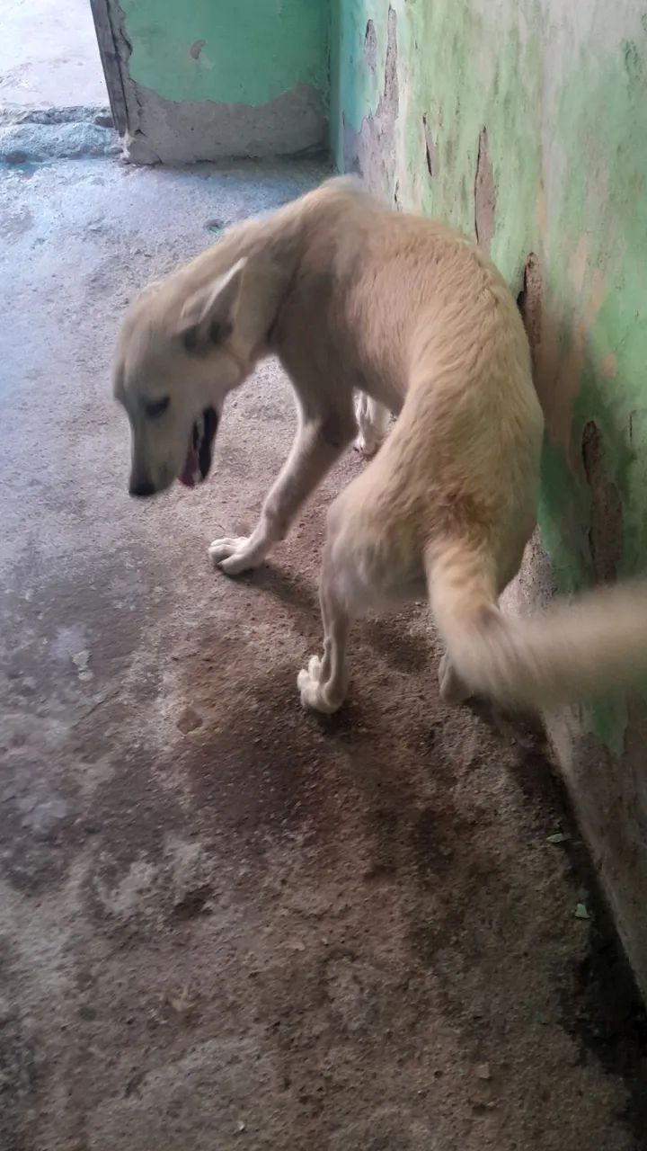 Doação - Foto 3