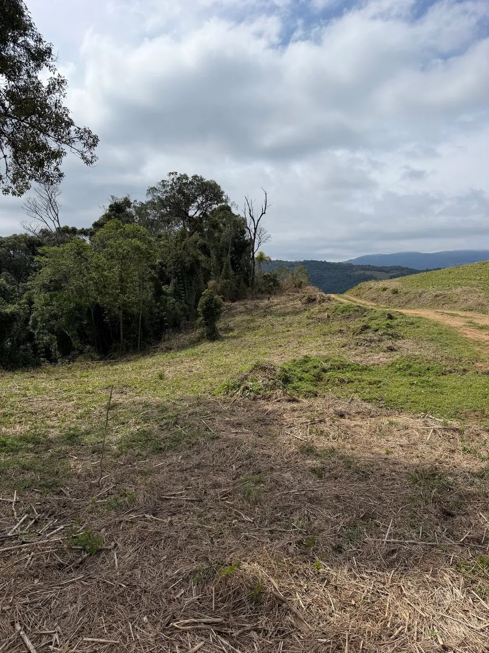 ANITÁPOLIS/SC - Terreno para sítio 2 hectares  - Foto 4