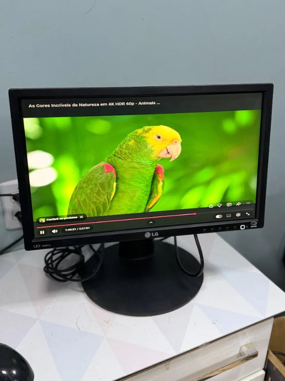 Monitor 19 Polegadas LG E19B13P-B LED VGA e DVI com Ajuste de Altura - Excelente Estado  P