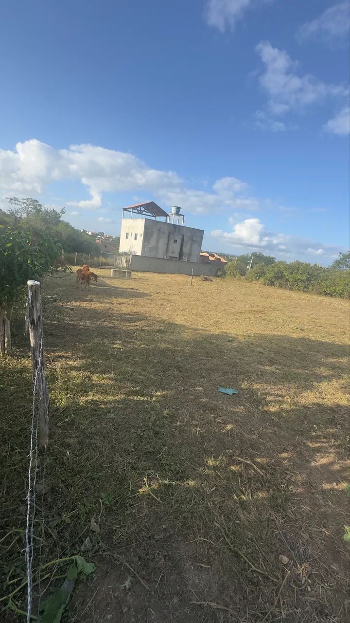 Terreno 15x30 450M2 - Foto 4