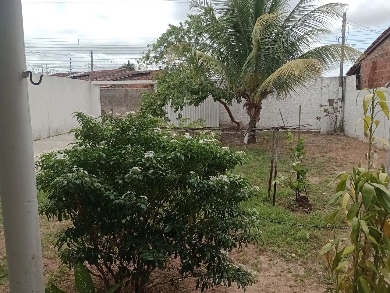 Sítio e casa - Foto 3