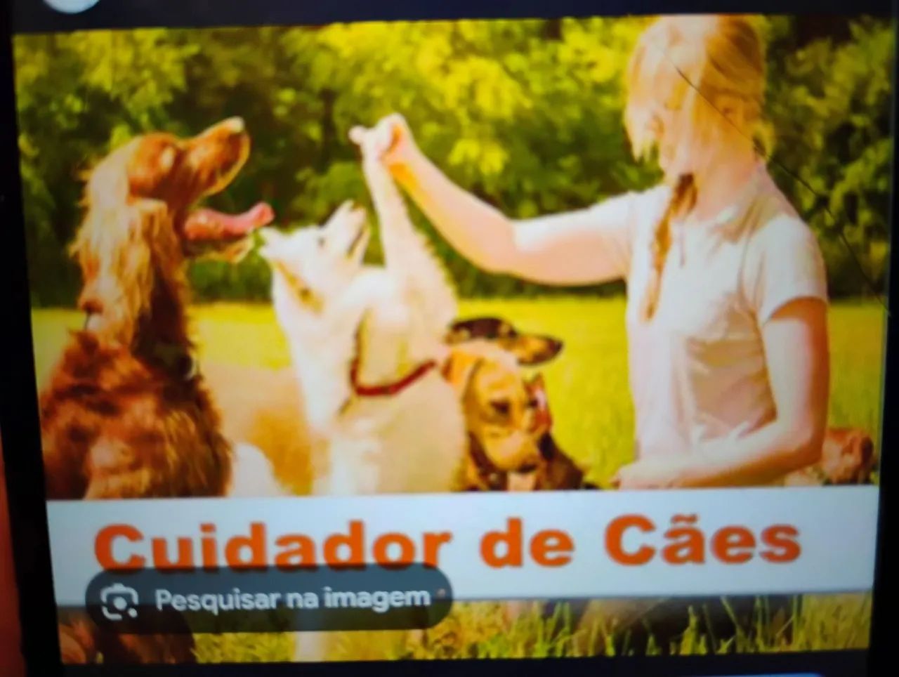 Cuidadora de cães e gatos  - Foto 2