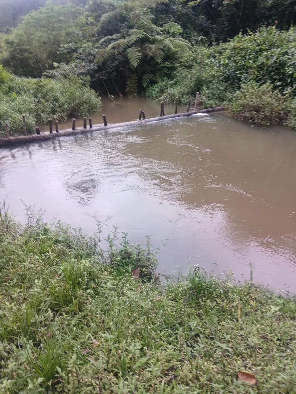 Vendesse terreno em Igarassu 