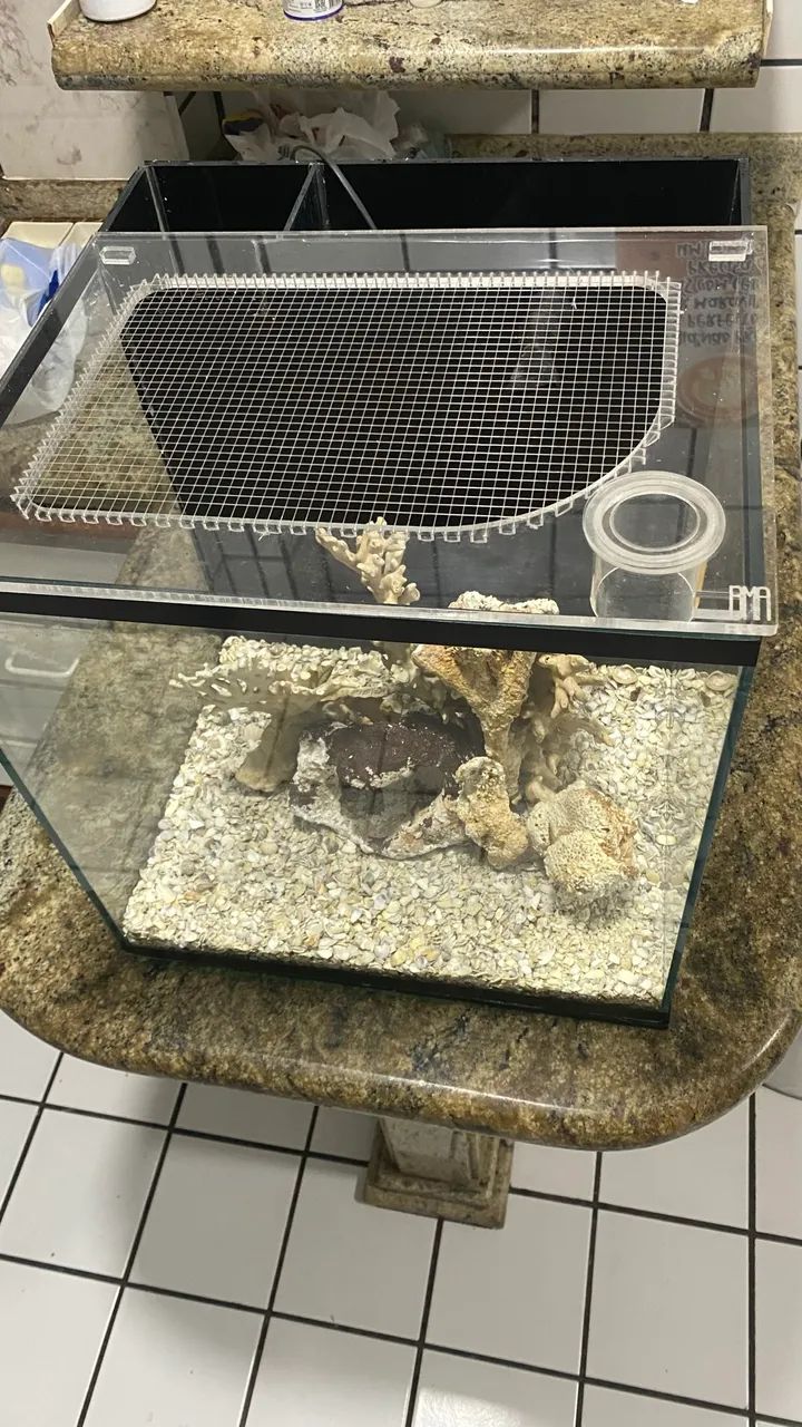 AQUÁRIO MARINHO 64 LITROS