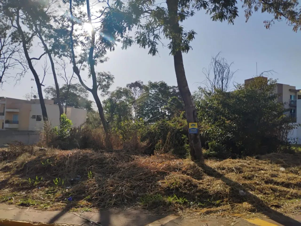 Terreno Padrão em Bauru - Foto 2