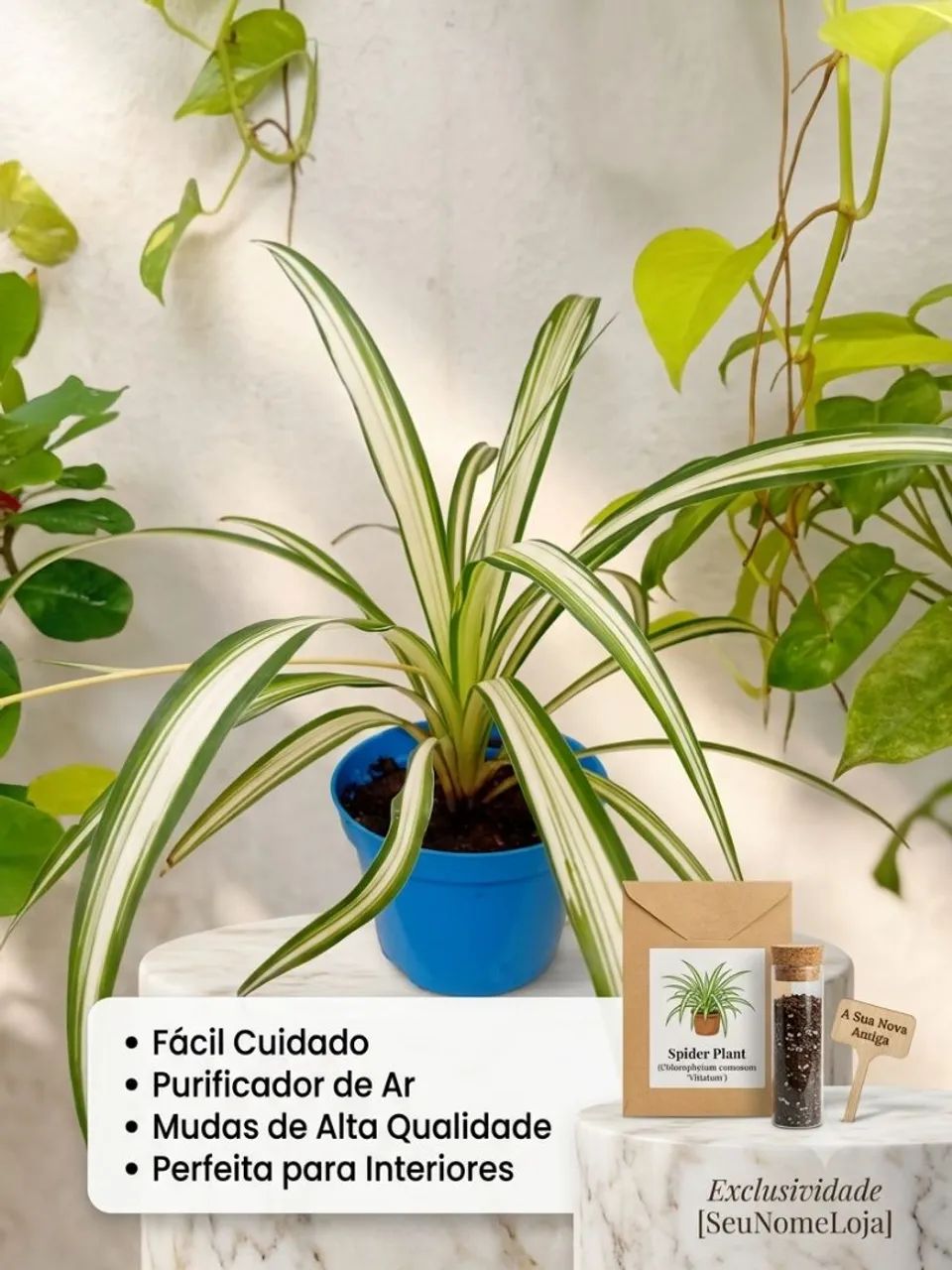 Planta com pote azul.