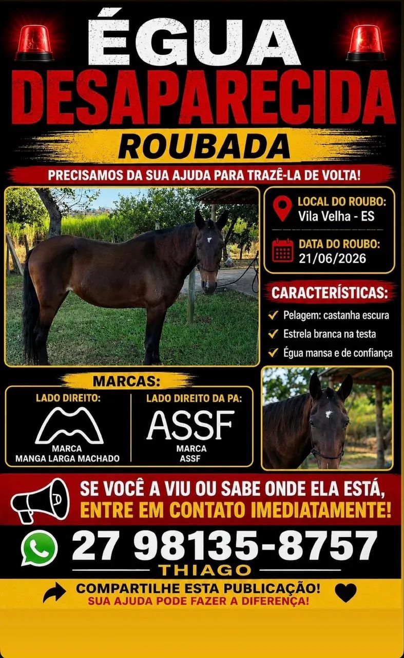 Égua Mangalarga