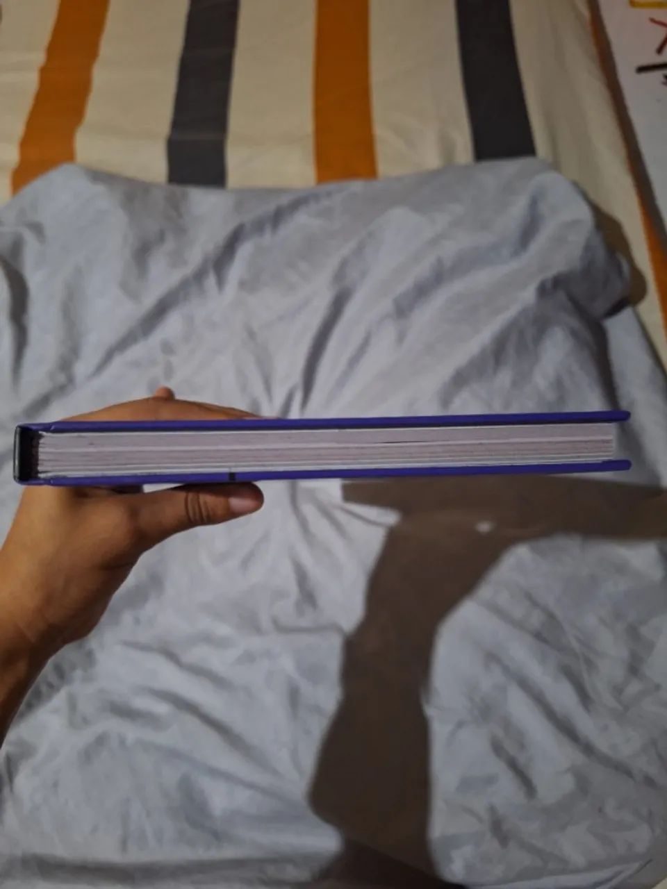 R$ 20 - Livro Últimas Mensagens Recebida (em bom estado) - Foto 6