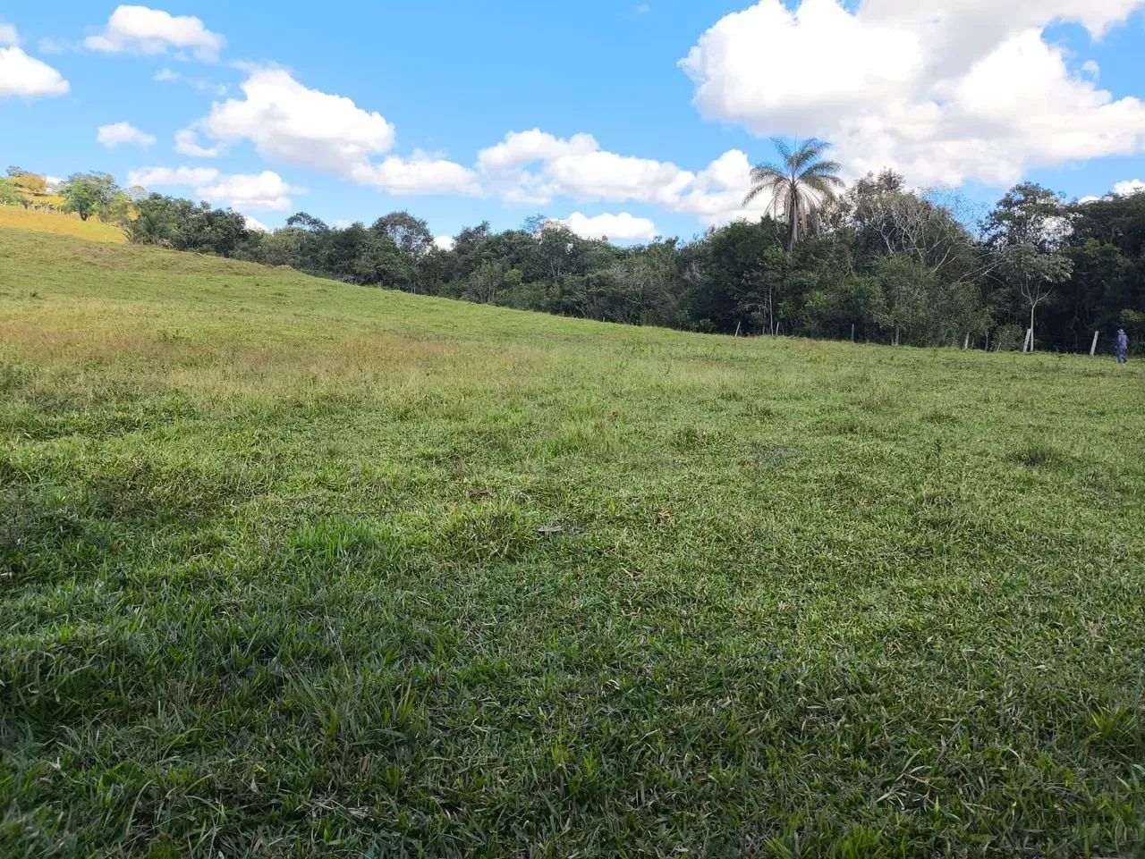 Sítio ,negócio oportunidade - Foto 2