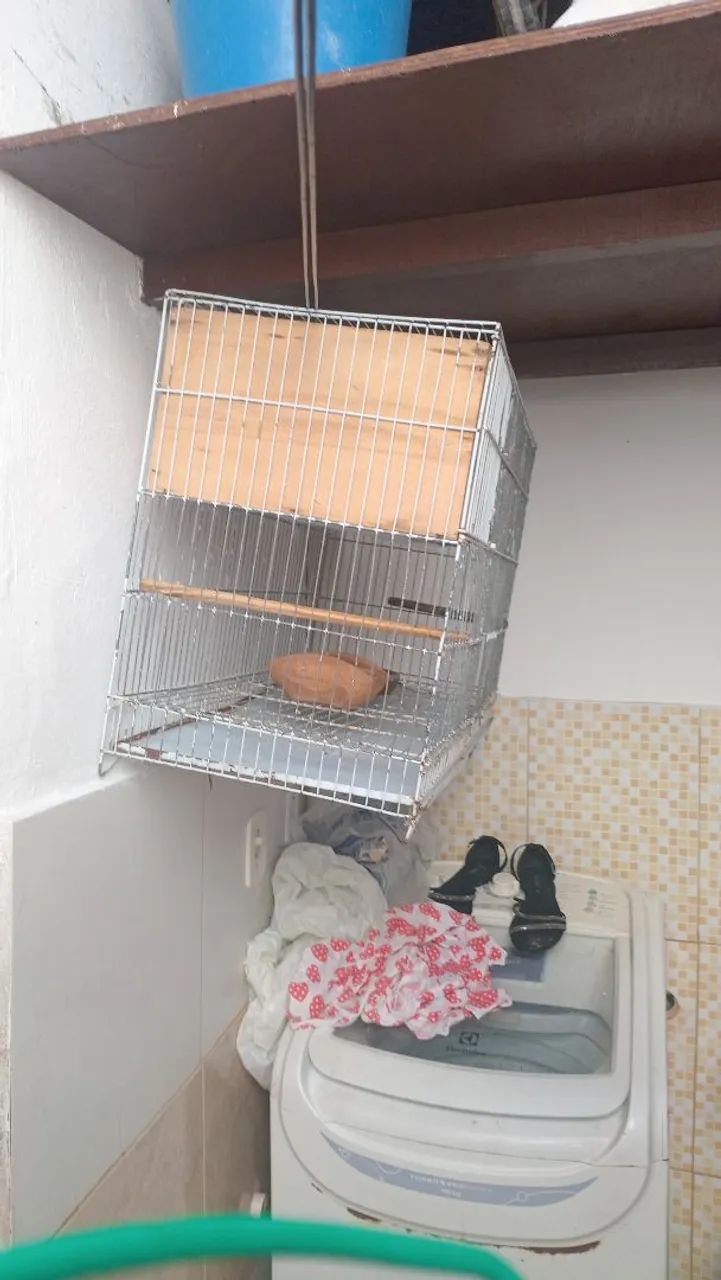 Gaiola  - Foto 3