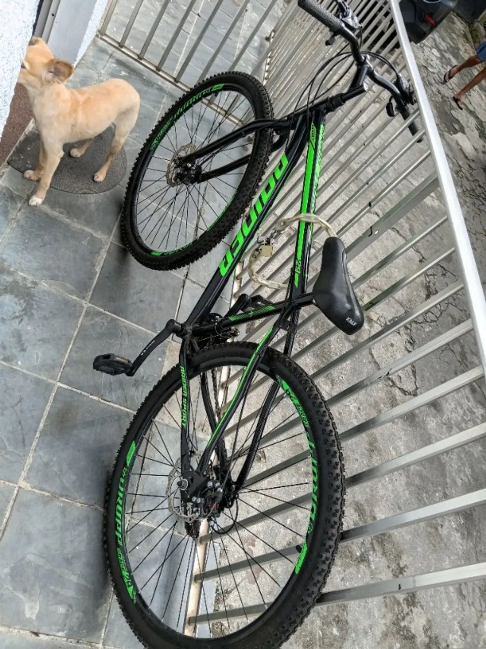 Bicicleta