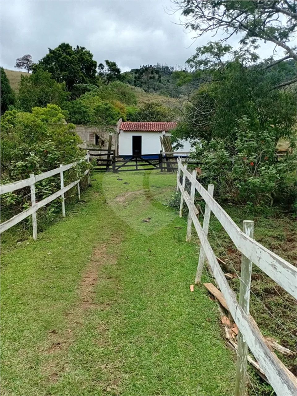 Sitio á venda em Lagoinha - Foto 2
