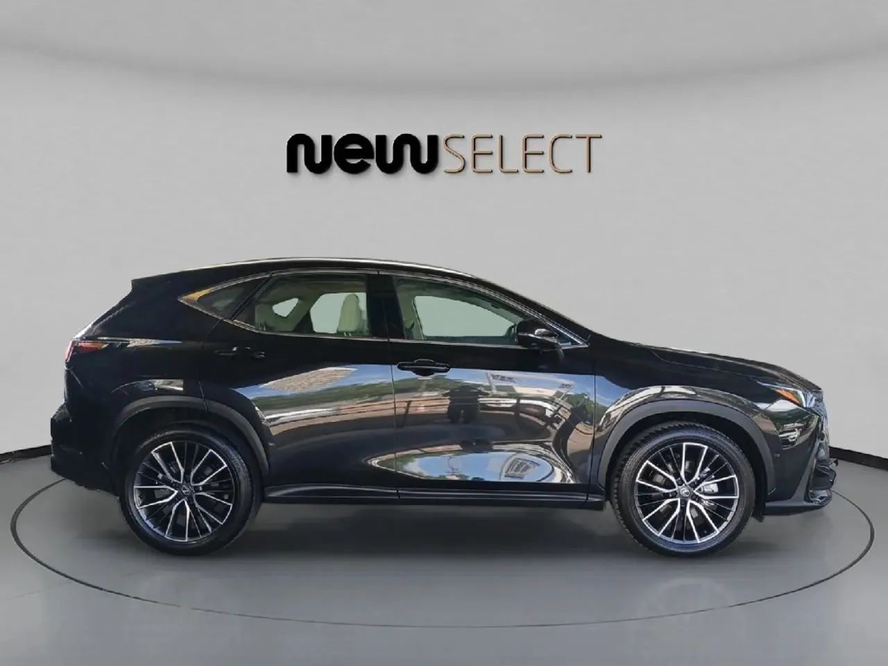 Lexus NX-450h+ AWD 2.5 16V Aut. (Híbrido), foto 6 de 17